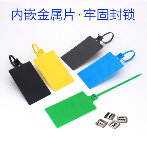 塑料封条防盗扎带 物流挂签货物标识牌 一次性防调包扣施封锁铅封 - 图1