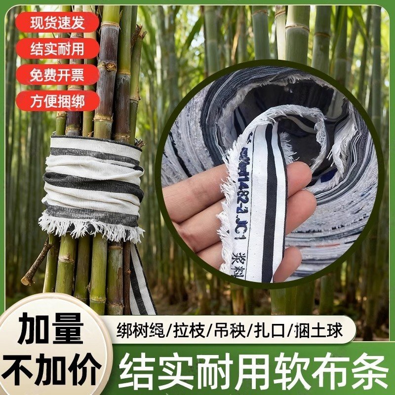 树木移栽捆土球布条包装布带树木拉枝绳子裁剪长条布边代替草绳,淘宝优惠券,粉丝福利购,淘宝优惠卷