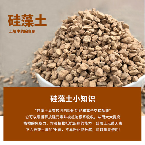 硅藻土颗粒种植拌土铺面垫底物理杀虫种植介质君子兰种植多肉颗粒 - 图0