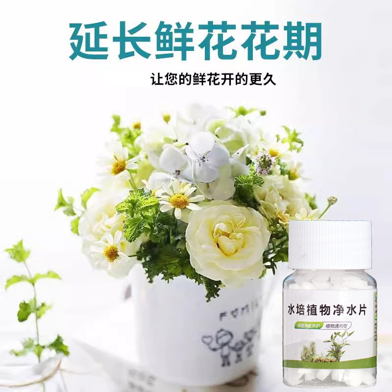 水培植物净水片鲜花花卉保鲜剂不臭水碗莲专用杀菌消毒片净化水质,淘宝优惠券,粉丝福利购,淘宝优惠卷