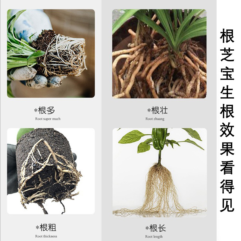 植物通用生根粉树木壮苗生根剂扦插移栽多肉营养液快速生根液-图1