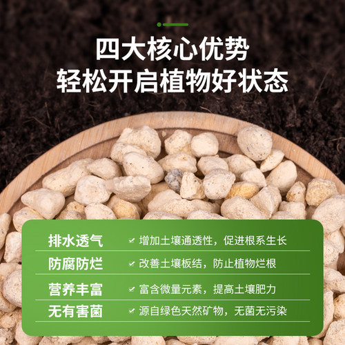 日本进口植金石兰花专用植料精品兰花石颗粒营养土多肉铺面拌土 - 图2