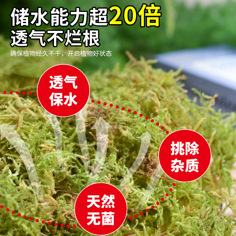 干苔藓水苔纯天然青苔兰花蝴蝶兰石斛种植专用营养土爬宠乌龟垫材 - 图1