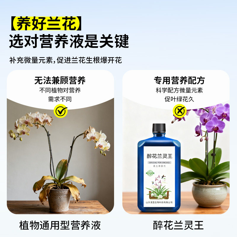 兰灵王兰花专用促花活化剂营养液肥料兰灵王君子兰蝴蝶兰石斛兰科,淘宝优惠券,粉丝福利购,淘宝优惠卷