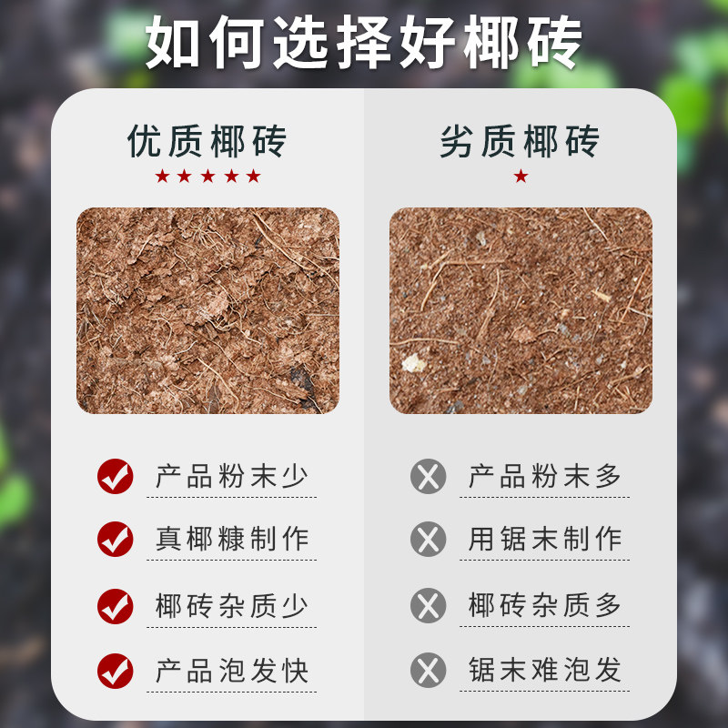 椰砖营养土通用型椰土壤椰糠粗椰壳种花养花种菜种植脱盐大块耶砖