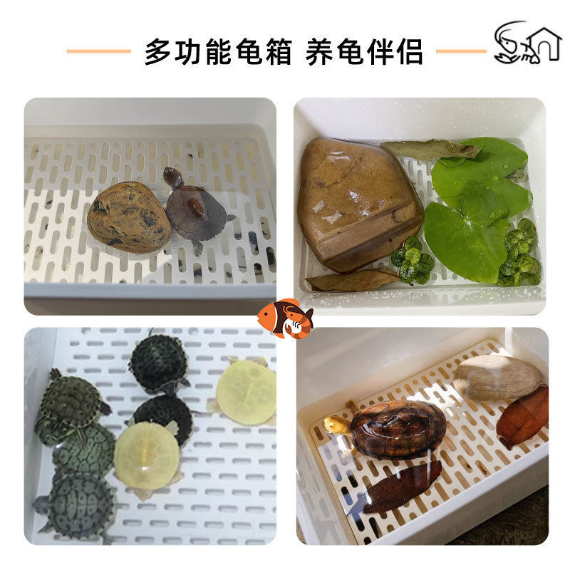 乌龟饲养盒冬眠专用小型鱼缸水族箱宠物盒子塑料盒避光饲养套盒,淘宝优惠券,粉丝福利购,淘宝优惠卷