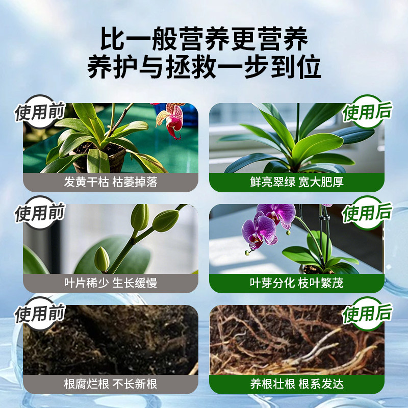 蝴蝶兰专用营养液肥料兰花促开花分芽生根壮苗有机液体肥营养肥,淘宝优惠券,粉丝福利购,淘宝优惠卷