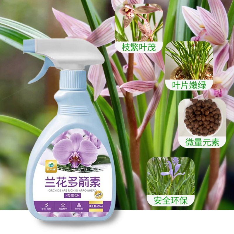 兰花多箭素爆芽素促箭王催花剂专用营养液爆根王兰花促花芽,淘宝优惠券,粉丝福利购,淘宝优惠卷