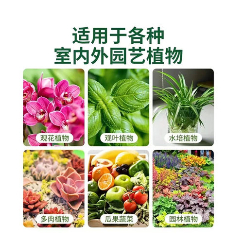 快速生根液粉剂扦插营养液植物通用型水培花卉绿植促生根生长 - 图2