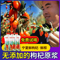 Ningxia Wolfberry Raw Pulp 2023 Year Stubble Fresh Fruits China Ningen Red Wolfberry Juice Raw Slurries Singifei Academy Of Agricultural Sciences