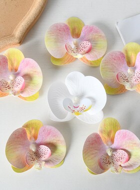 胶片蝴蝶兰花头仿真花墙配件花材