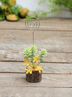 创意摆设摆件自然角幼儿园植物角户外装饰微景观别墅庭院花园布置