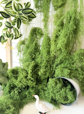 仿真苔藓造景假青苔毛线草皮微景观盆景装饰环保防水仿生草坪绿植