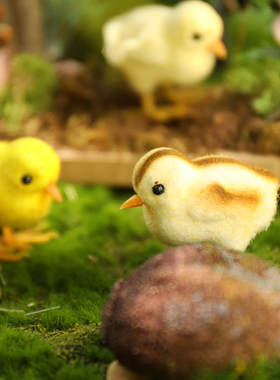 小鸡风创意环境动物造型