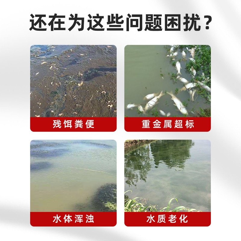 中意和海中宝消除重金属余氯净水解毒水产养殖大苏打鱼虾蟹鳖海波 - 图0