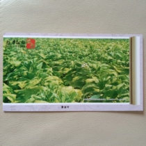 明信片  10企业金卡  图案为    瑞金   黄金叶   烟    角钝