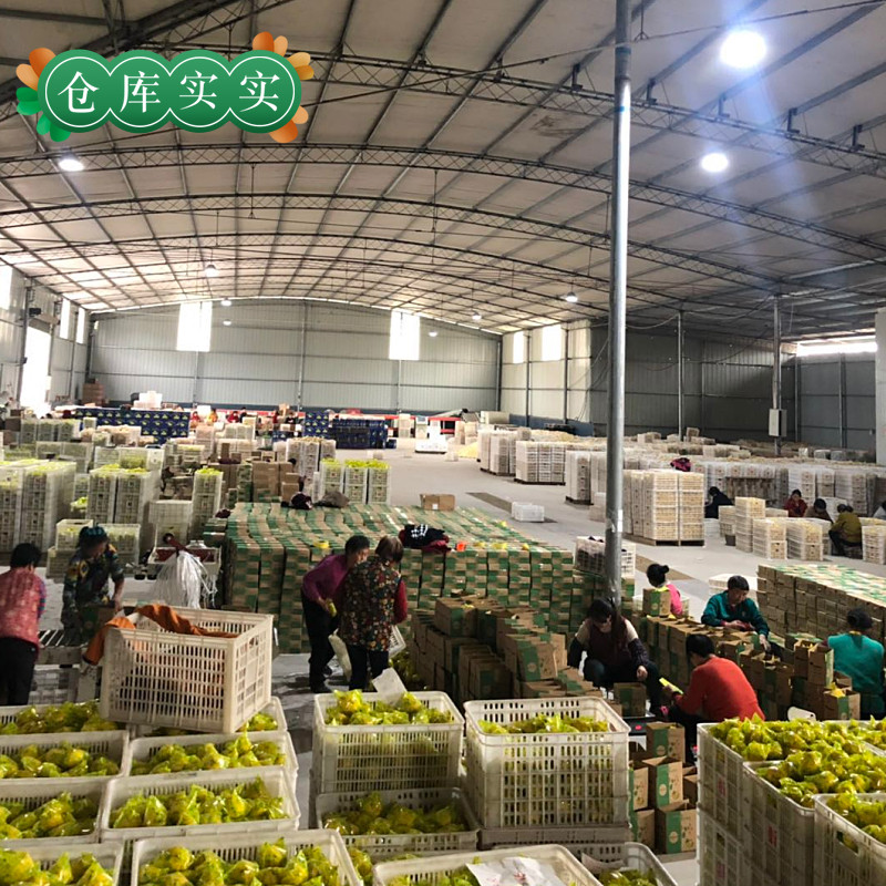 柠乡人旗舰店【柠乡人】安岳黄柠檬25个装单果60-90克独立包装皮薄多汁3