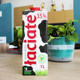 Laciate imported pure milk whole box whole milk