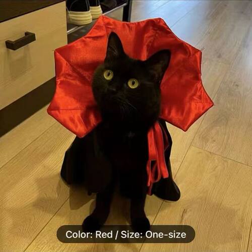 宠物万圣节披风 猫咪狗狗血族王变装衣服 贵宾比熊雪纳瑞博美斗篷 - 图3