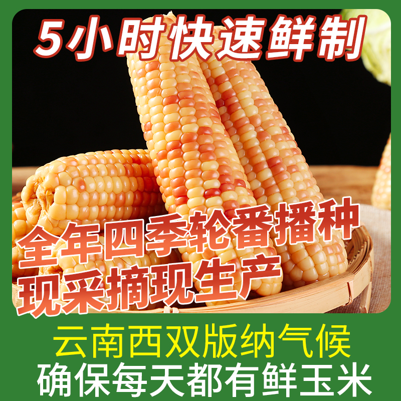 10斤云南西双版纳香糯小玉米即食新鲜玉米真空装花糯黏甜粘玉米棒