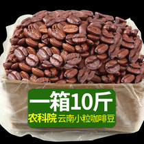 Yunnan Small Grain Coffee Beans Now Grinding Coffee Powder Medium Baking Bacon Freshly Baked Bacon Black Coffee Bean Specie Produce Wholesale