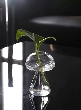 日式玻璃花瓶家居装饰猫咪桌面绿植水培插花瓶创意微景观迷你可爱