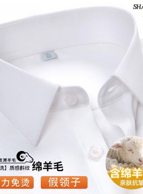 澳洲羊毛银行假领男女通用百搭