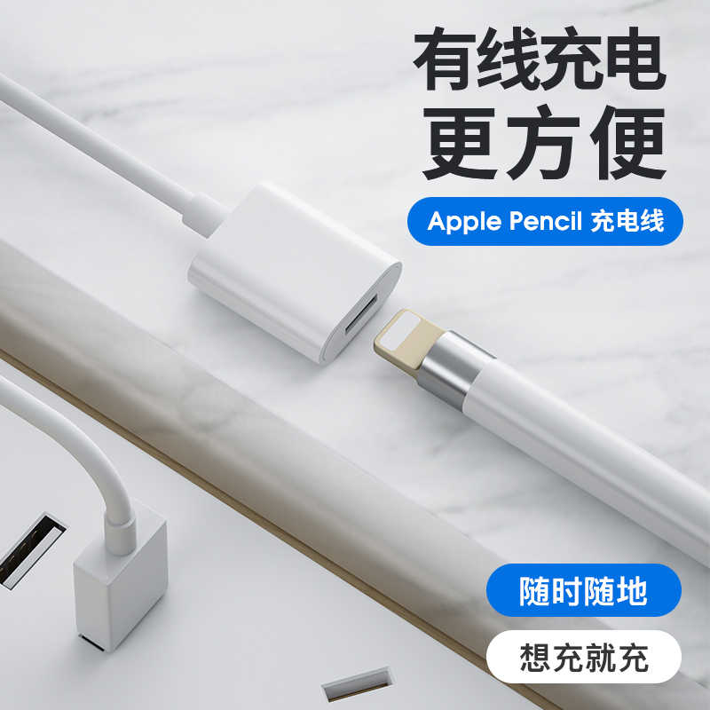 Applepencil转换头 新人首单立减十元 2021年11月 淘宝海外