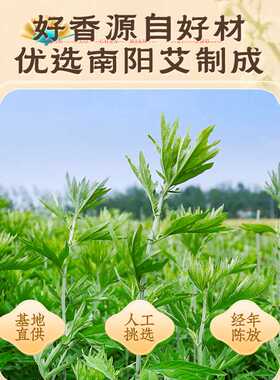 妙艾堂陈年艾灸柱  盒装54粒家用南阳艾条 艾柱厂家直供艾制品