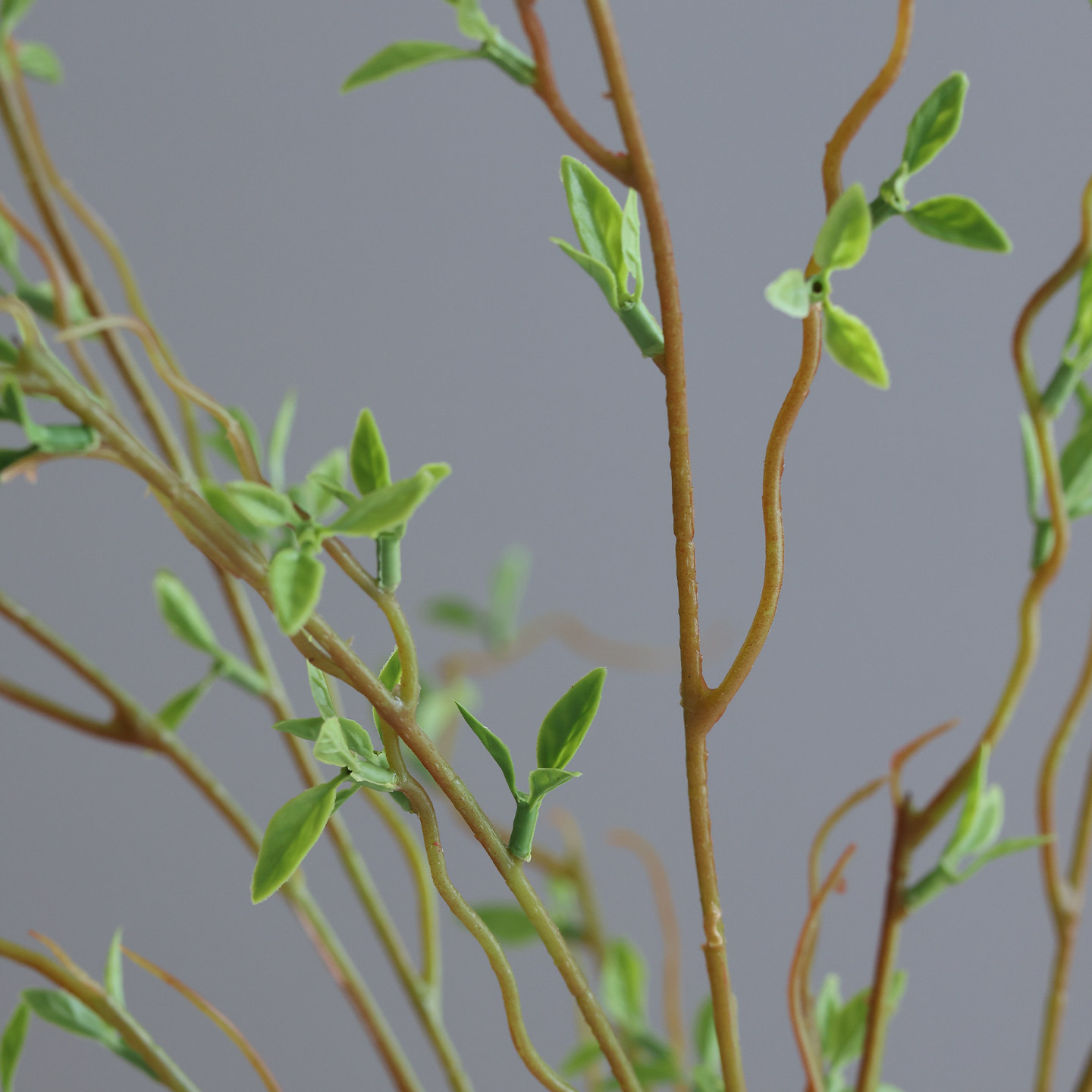 森系仿真嫩芽柳树枝绿植植物摆件客厅餐桌壁柜电视柜插花摆件装饰,淘宝优惠券,粉丝福利购,淘宝优惠卷