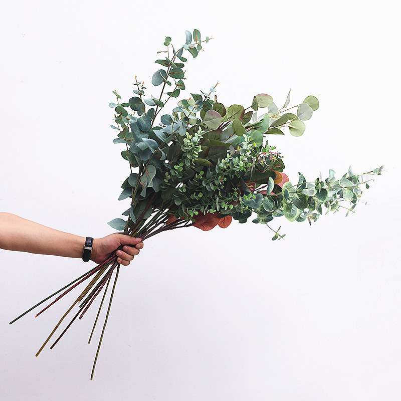 泰环 仿真尤加利叶金钱叶ins北欧风单枝绿植家居客厅装饰插花摆件,淘宝优惠券,粉丝福利购,淘宝优惠卷