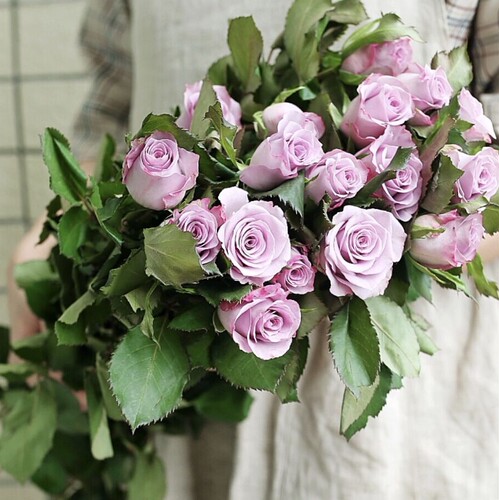 偏爱玫瑰 | 玫瑰花 鲜花 云南直发A级 咖啡时间礼物店内任2扎顺丰 - 图3