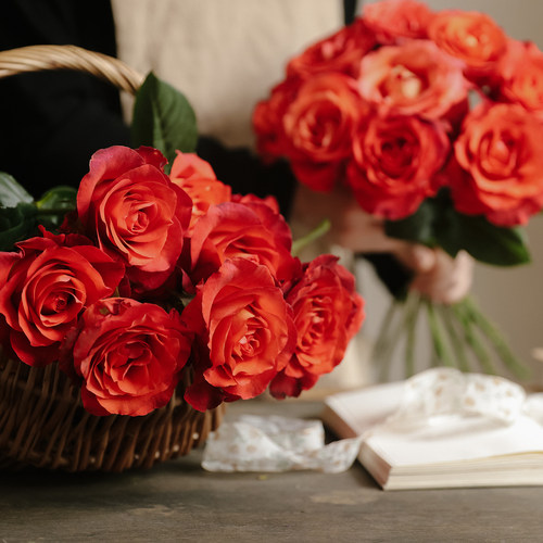 偏爱玫瑰 | 玫瑰花 鲜花 云南直发A级 咖啡时间礼物店内任2扎顺丰 - 图0