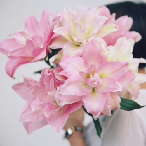 百合皇后|重瓣百合 鲜花云南直发  百合花 顺丰空运包邮 A级鲜花 - 图3