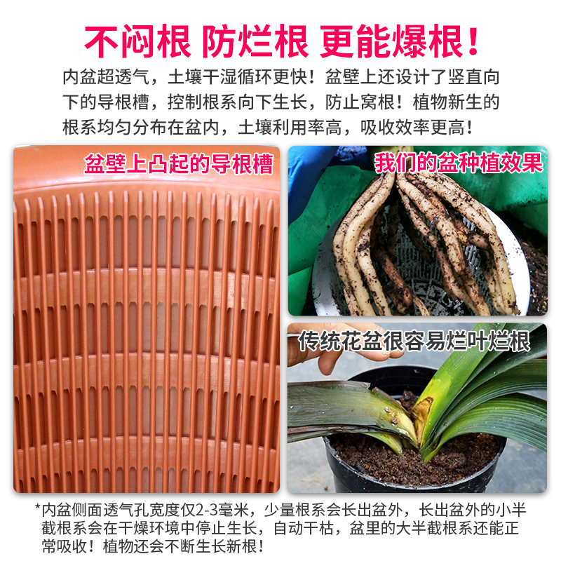 美莳君子兰专用控根花盆透气树脂塑料蝴蝶兰盆栽仿紫砂陶瓷兰花盆 - 图1