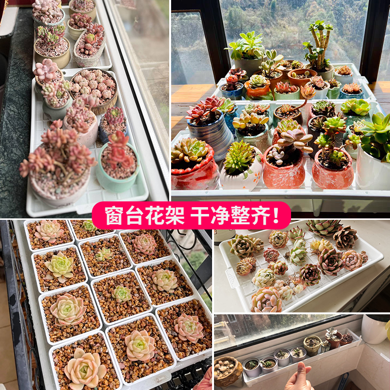 美莳多肉花盆托盘长方形收纳塑料底座家用垫底浸盆防烂根沥接水盘