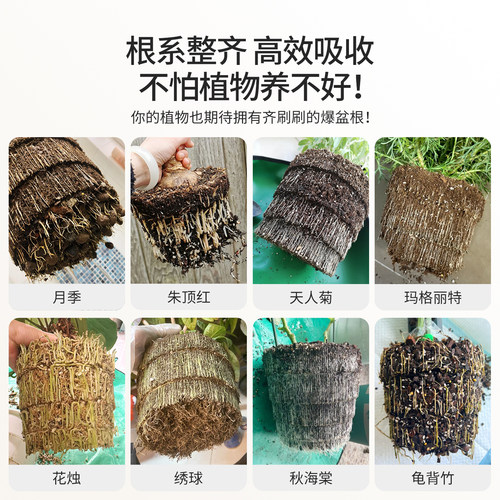 美莳控根花盆塑料树脂透气性好的加仑青山家用月季绣球兰花专用盆 - 图2