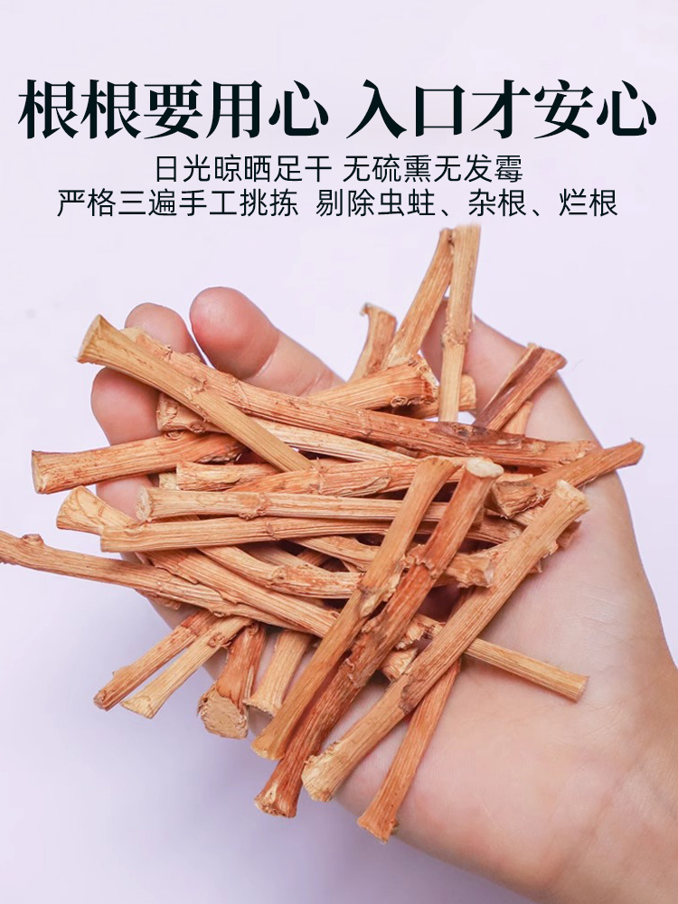 春砂仁根中药材正宗阳春特产广东煲汤泡茶砂仁根干新鲜春沙仁干根 - 图1