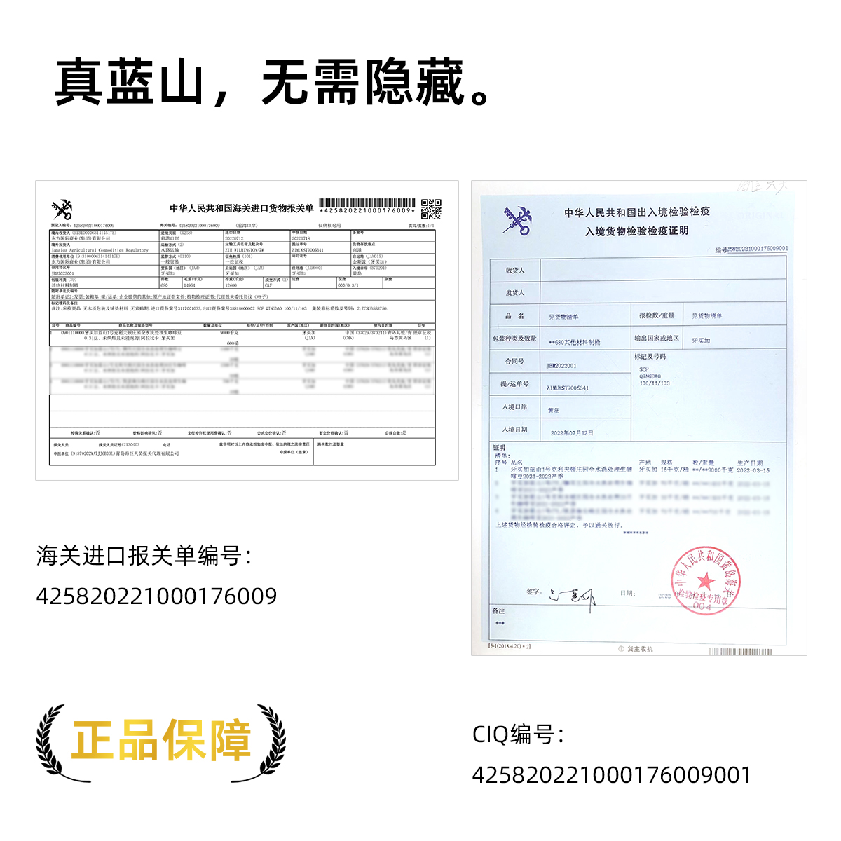 FCR牙买加蓝山1号咖啡豆NO.1克里夫顿庄园雨林联盟认证水洗48克 - 图3