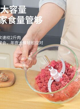 龙德利多功能绞肉机家用