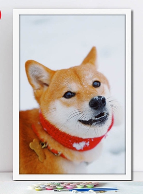 萌宠宠物狗狗柴犬diy礼品数码
