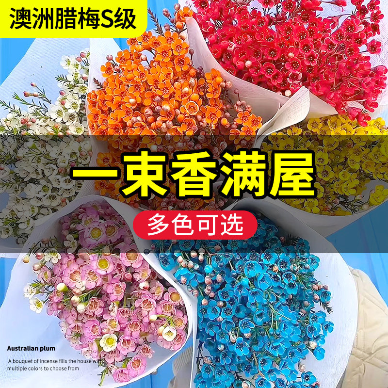 图5
