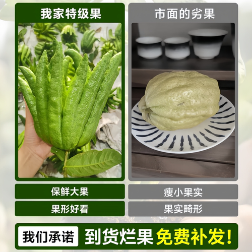 佛手柑鲜果摆件水培闻香食用清贡金华云南新鲜香橼瓜特大桌面绿植 - 图0