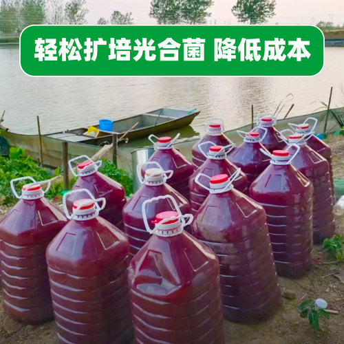渔惠笑光合细菌原种培养基好扩培水产养殖鱼虾蟹大水面高温环境用 - 图1