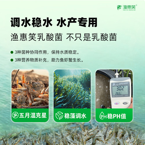 渔惠笑乳酸菌水产专用养殖菌种全溶快速扩培菌粉淡水海水养殖拌料 - 图3