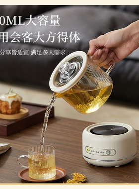 全玻璃迷你养生壶多功能