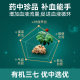 Letweijian Sanqi Blood Tonic Nattokinase 60 ແຄບຊູນຈີນແລະຕາເວັນຕົກ 2 ຂວດ