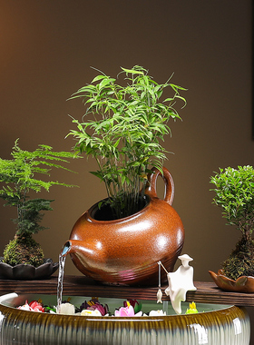 室内造景生态庭院创意鱼缸