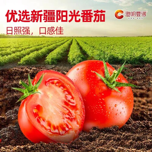 澄明要得七个番茄一锅汤底料250g火锅底料浓汤料餐饮商用家用不辣 - 图0