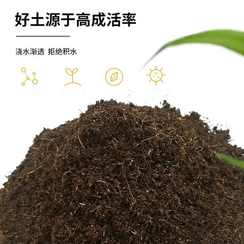腐熟松针腐殖土兰花多肉营养土养花专用种菜土壤通用型腐叶种植土 - 图0